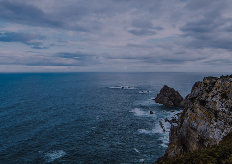 Operación y control